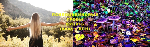 тгк Абинск