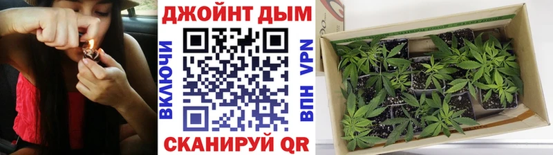 OMG зеркало  Чита  Конопля OG Kush 